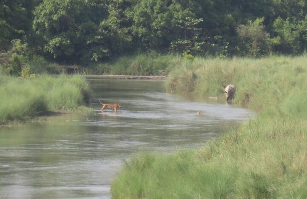 Bardia National Park Jungle Safari Tour Package - 3 Nights 4 Days