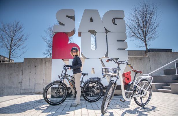 E-bike Rental - 3 hour along the shoreline Bike Path