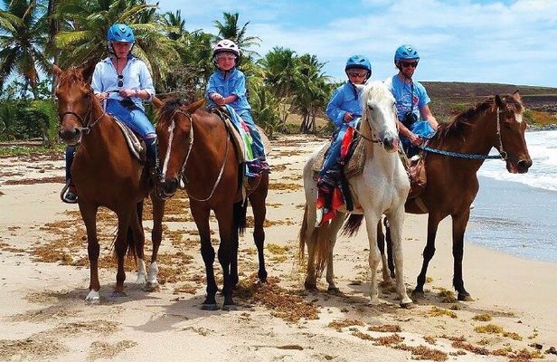 Horseback Riding along the Beach