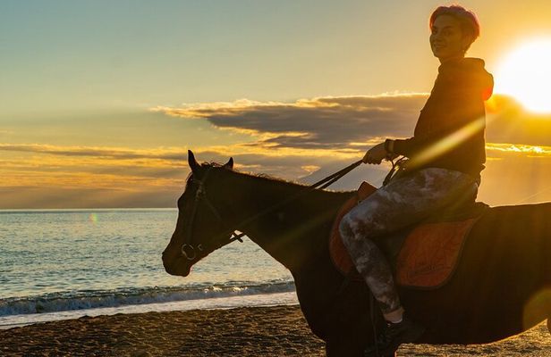 Antalya Horse Riding On Beach And Through The Forests For 2 Hours