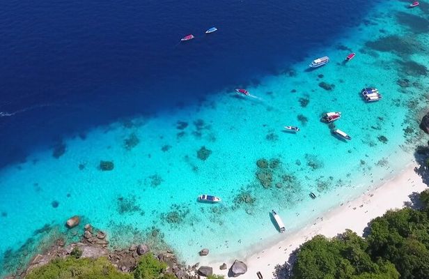 Premium Similan Island Day Trip with lunch and transfer pick up
