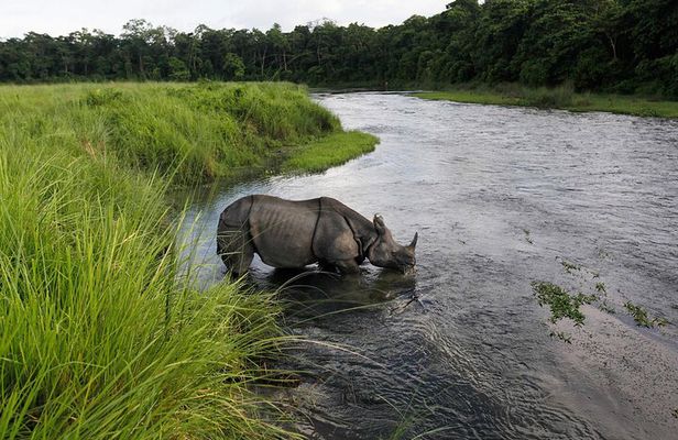3-Day Chitwan National Park Jungle Safari Tour Package with Pick Up