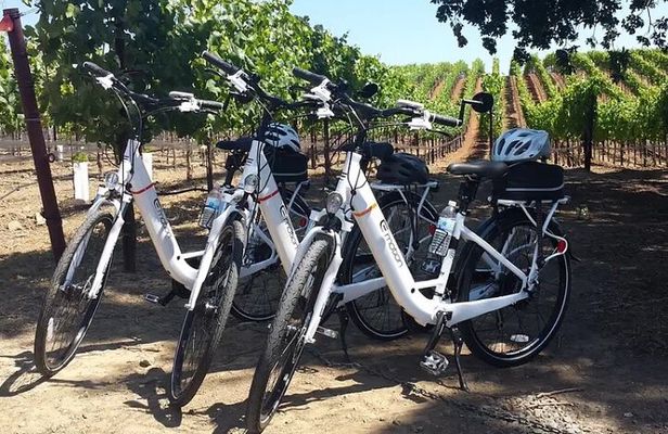 Experience E-Bike with Wine Tasting Activity