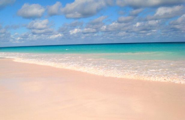 Bahamas Famous Pink Sand and Pig Experience with Snorkeling