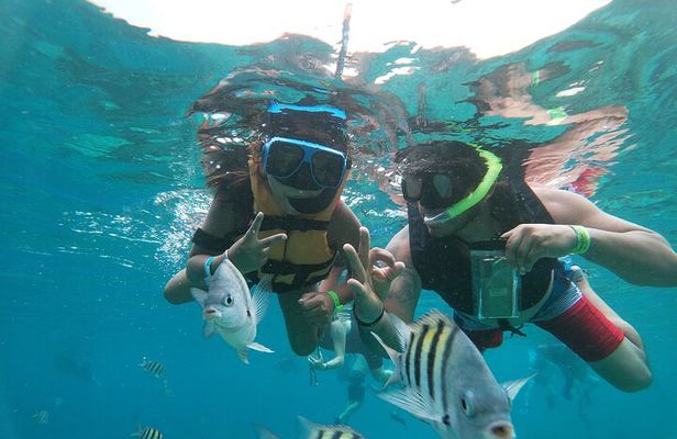 Chankanaab Beach Park Day pass with Snorkeling