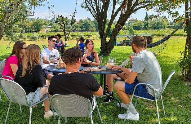 Wine Tasting with Local Food in Lazise Countryside