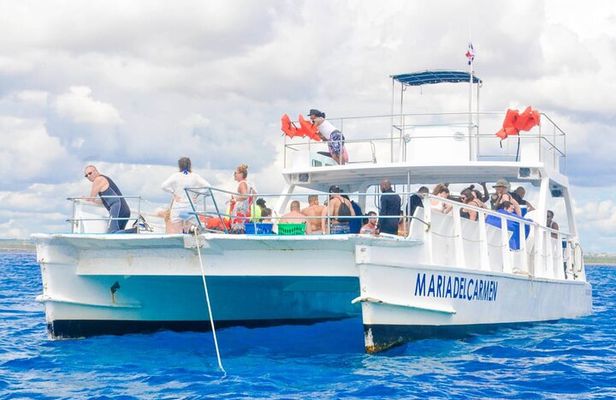 Full Day Snorkeling in Catalina Island with Transportation and Lunch