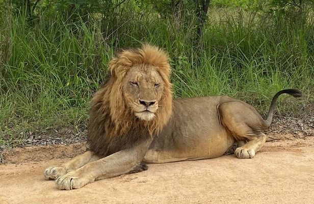 Two Days, One Night Tour: Blyde River to Kruger National Park