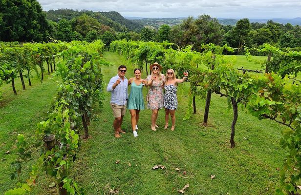 Hinterland Cheese & Wine Tasting Tour - with 2 course lunch included