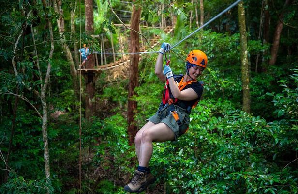Cape Tribulation & Ziplining: Ultimate Daintree
