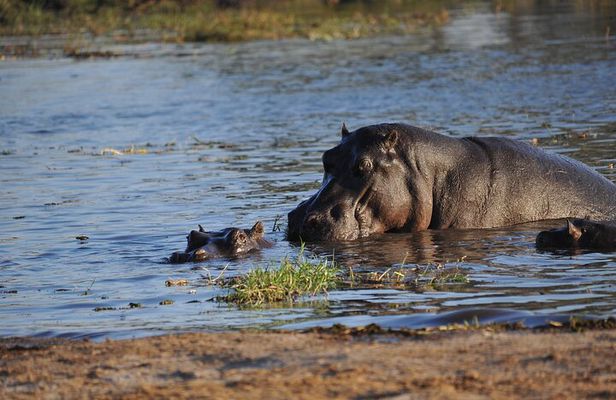 2 nights 3 days Overnight Mokoro Trail Okavango delta