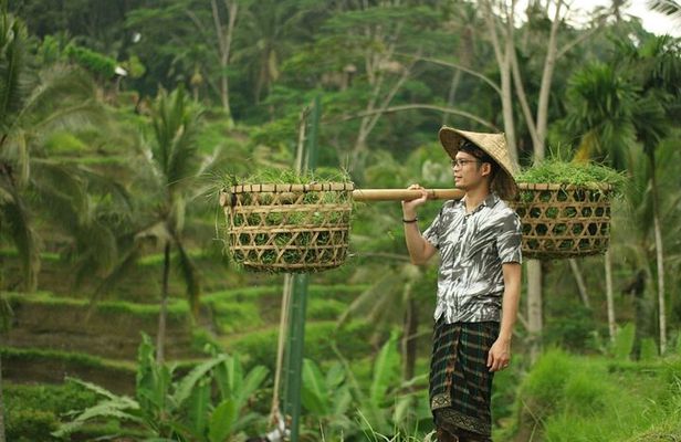 Private Tour : Best of Ubud and Tanah Lot Temple with All inclusive