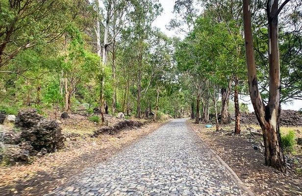 Full-Day Tour From São Filipe with Coffee Plantation and Natural Pools