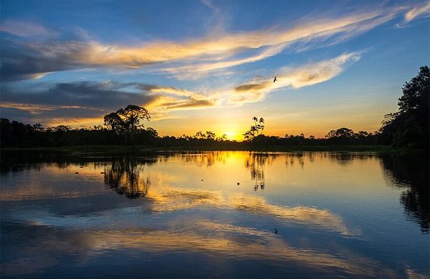 Tambopata Eco Jungle - 3 Day Tour (Nature and Wildlife)