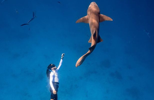 Discover Maafushi in 4 Nights 5 Days (Tour A)