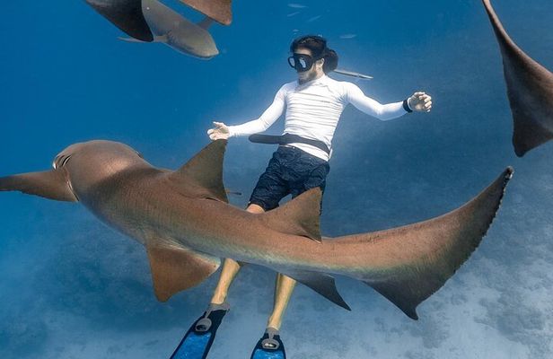 Discover Maafushi in 4 Nights 5 Days (Tour B)