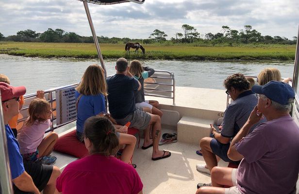 OC Bay Hopper - Assateague Island Cruise