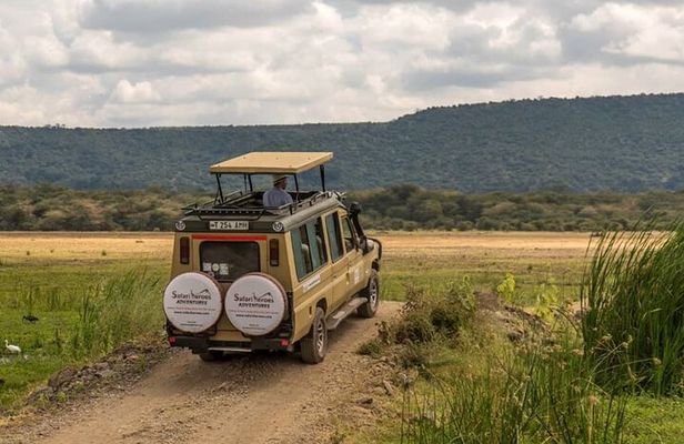 Tanzania Safari 4-day Tour