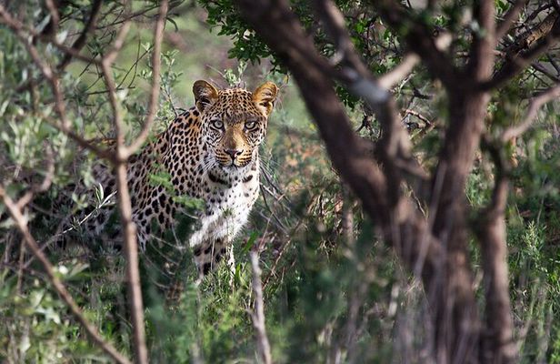 Around Gaborone Adventure