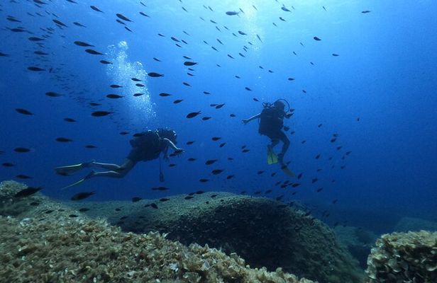 Scuba Diving in the Marine Area of Villasimius (only patented)