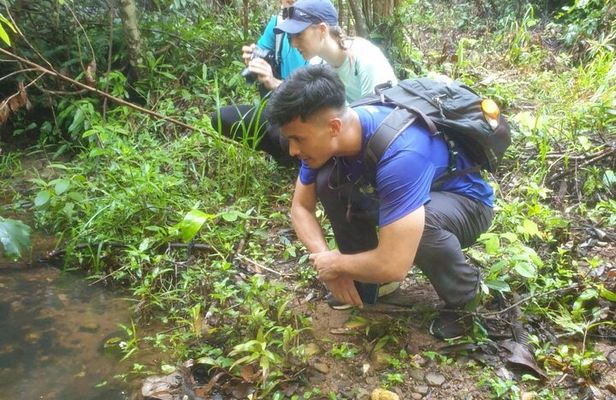 My Son sanctuary and mountain trekking