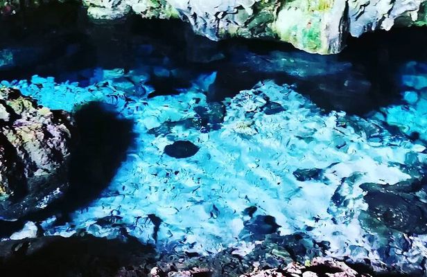 Kuza Cave, Blue Lagoon, Starfish Adventure, The Rock, Stone Town, Secret Garden