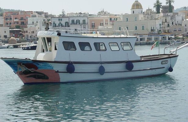 Boat tour of the island of Ischia with lunch and bath