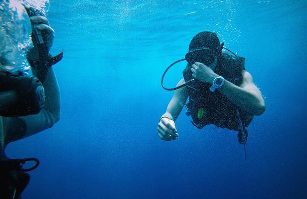 2-Hour Diving & Diving in Marina del Plemmirio Area in Syracuse