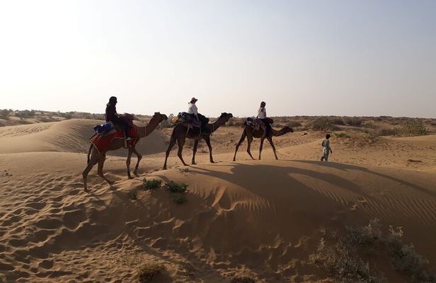Private Overnight Safari Tour with Camel Ride