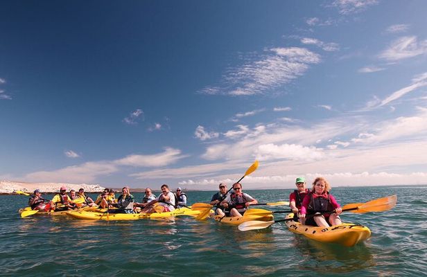 Langebaan Lagoon Island Kayak Experience