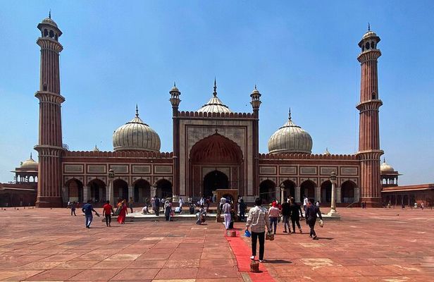 Half-Day Premium Classic Old Delhi Cycling Tour - Unity in Diversity