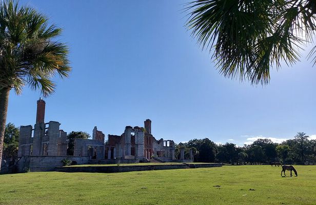 Cumberland Island Walking Tour