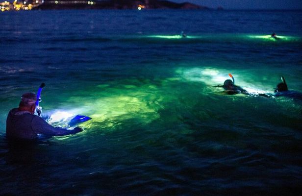 Guided Night Snorkeling in Roatan