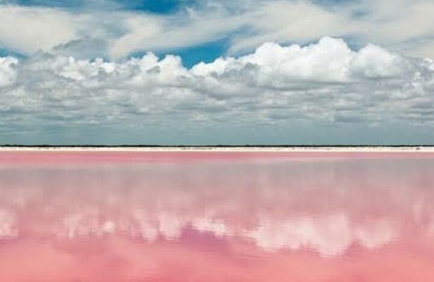 Las Coloradas & Río Lagartos with boat & Lunch from Mérida