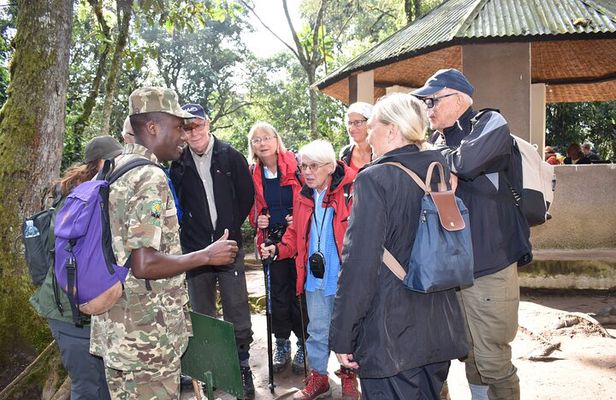 3 Days Bwindi Gorilla Trekking with a Domestic Flight