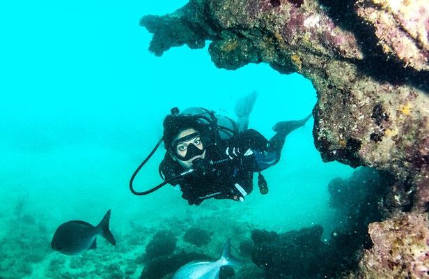 Get SCUBA Certified at San Juan