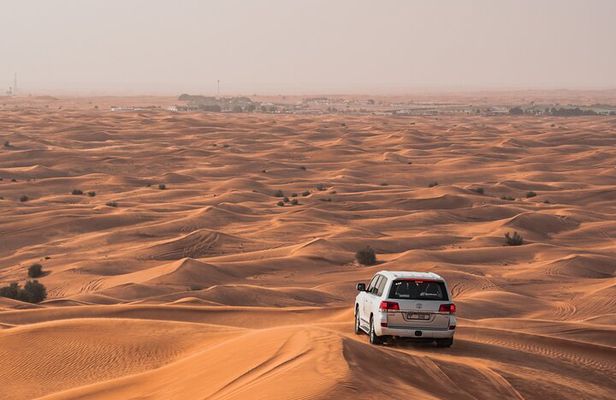 Private Morning Safari with Camel Ride and Sand boarding
