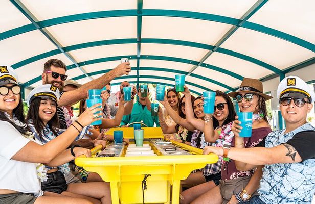 Clearwater Island Hop and Dolphin Watch with Swimming