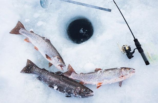 Ice Fishing Tour from Fairbanks