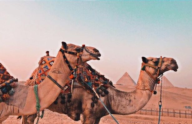 Full-Day Private Tour Giza Pyramids, Saqqara and Dahshur