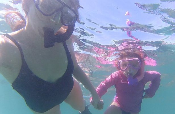 Snorkeling San Carlos with a Marine Biologist