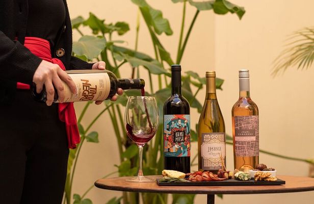 Wine Tasting Boutique in Buenos Aires