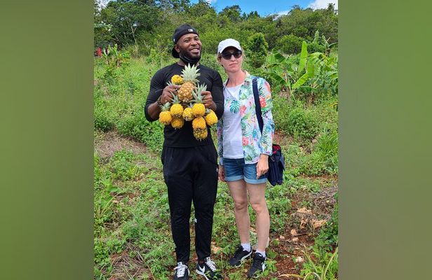 Tour a Jamaican Farm