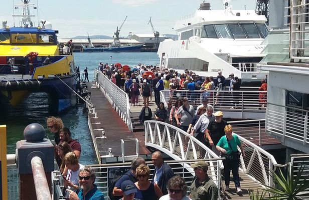 Robben Island Museum Stellenbosch Wineries Plus Ferry Ticket F/D