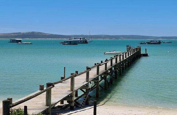 Cape West Coast Flower Tour