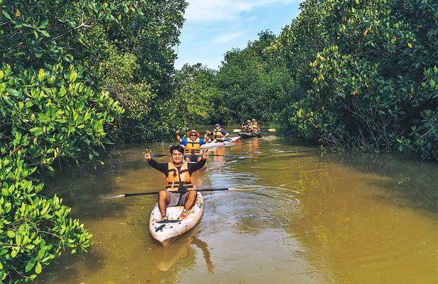 Puerto Escondido: Manialtepec Lagoon by Kayak