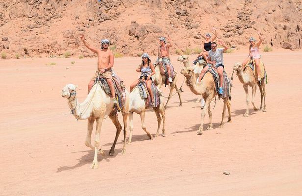 Camel Ride, Bedouin Dinner & Stargazing in 4X4 Jeep Safari in Hurghada