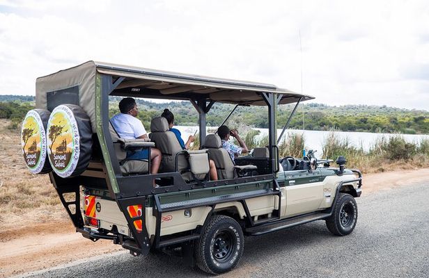 Nairobi National Park Game Drive - Shared Experience in Open Jeep