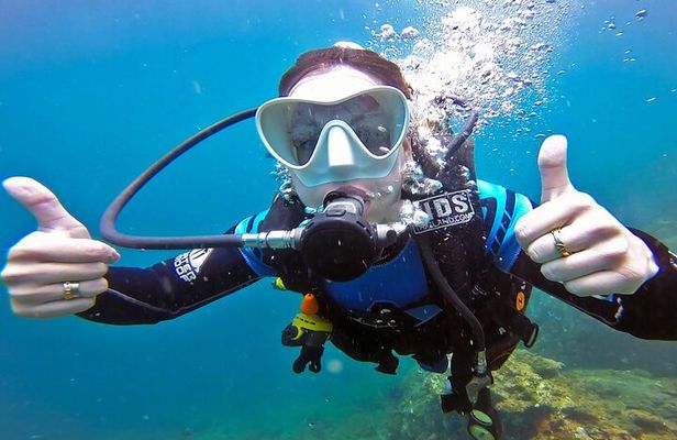 Scuba Diving Trip to Sail Rock From Koh Phangan (Certified Divers)