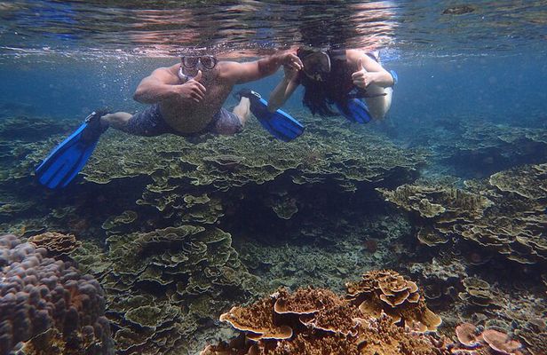 Anilao Snorkel Safari: Explore the Amazing Underwater World